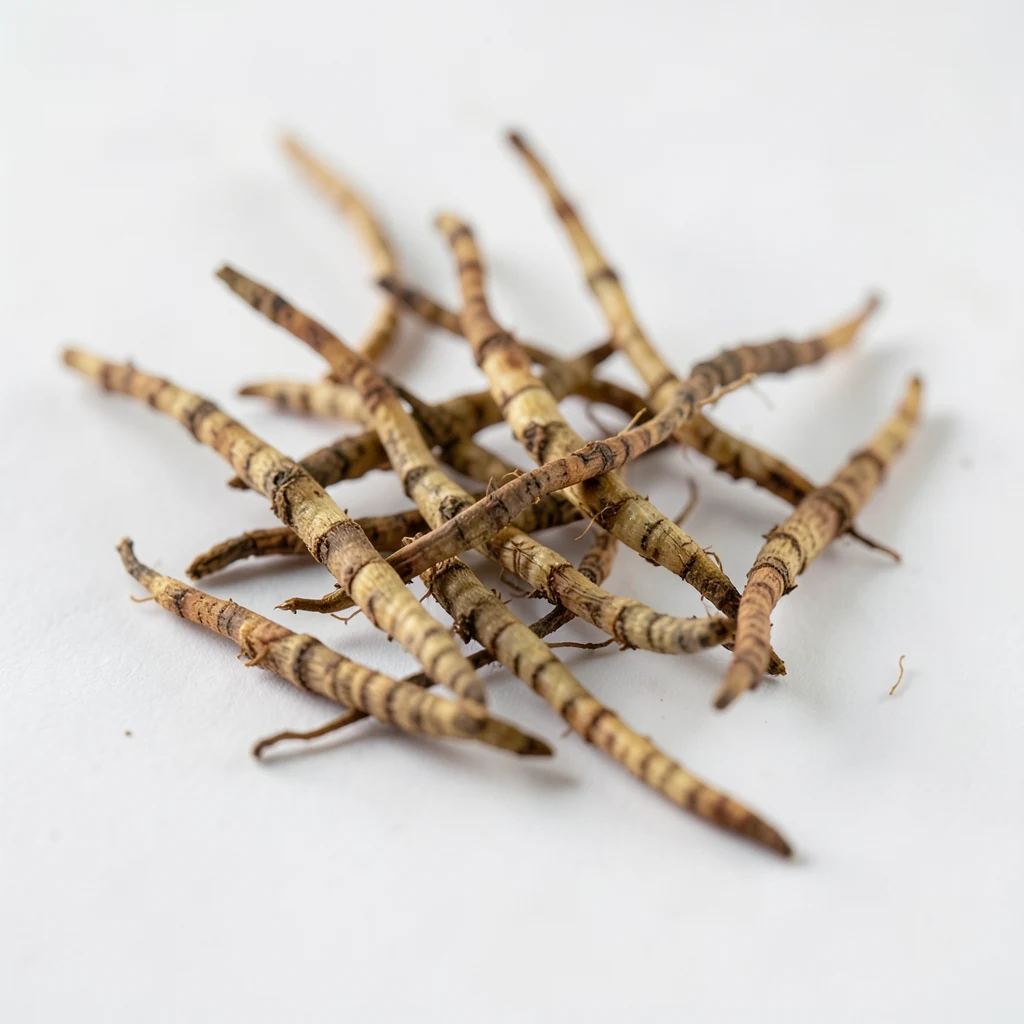 Co je cordyceps a jaké má účinky - ilustrační foto