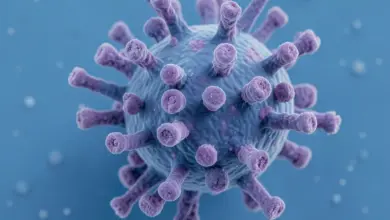 meningitida příznaky a léčba - Meningitida - ilustrační foto