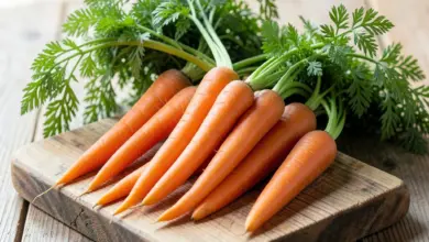 Mrkev zdraví a vitamíny - ilustrační foto