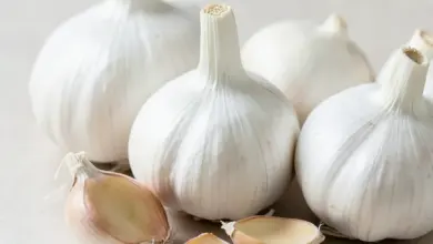 Jaké má česnek účinky na zdraví - ilustrační foto