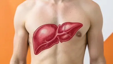 Jak fungují játra a jejich funkce - ilustrační foto