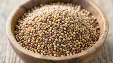 Quinoa nutriční hodnoty a zdravotní přínosy - ilustrační foto