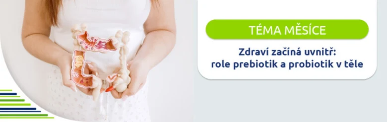Žena drží anatómičtí model trávicího traktu s střevy.
