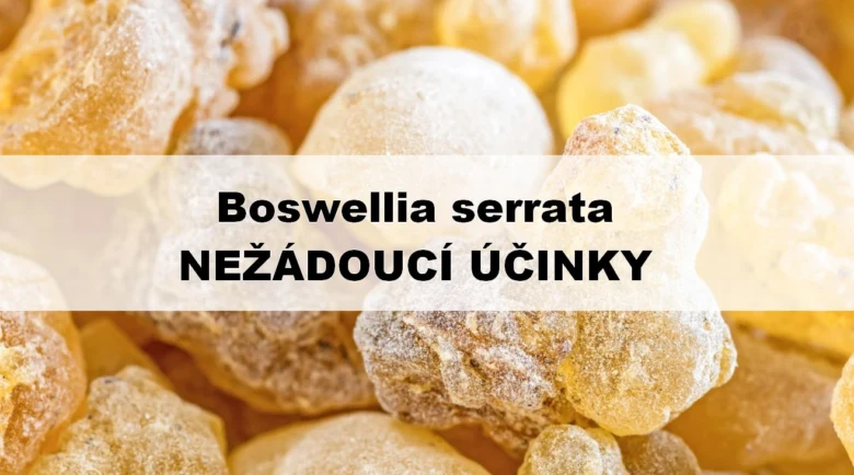 Kousky boswellií serraty na pozadí informací o vedlejších účincích.