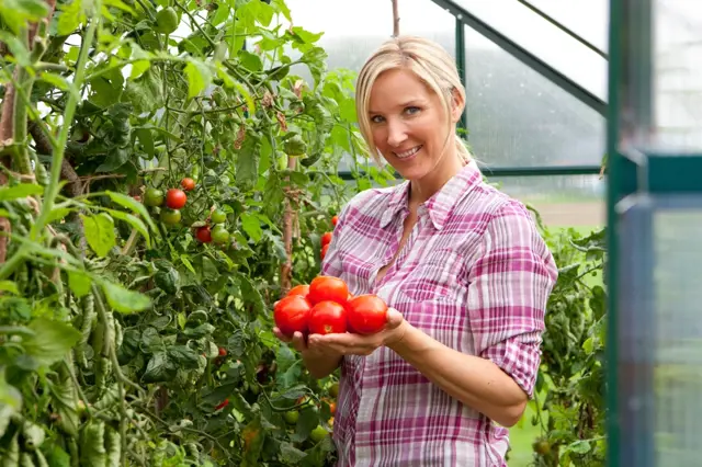 Woman holding tomatoes in greenhouse
