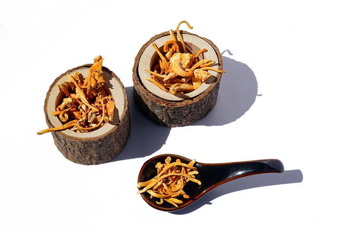 Sušené houby cordyceps v dřevěných kouscích a lžičce.