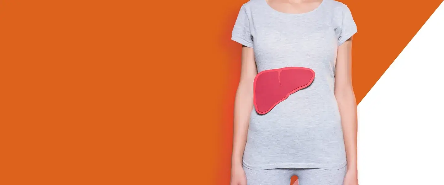 Human torso with liver overlay