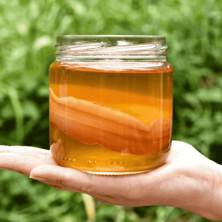 Ruka drží sklenici s fermentovanou kombuchou na zeleném pozadí.