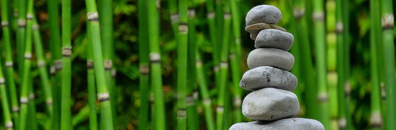 Balancovaná hromada kamenů před zelenými rostlinami symbolizující klid a meditaci.