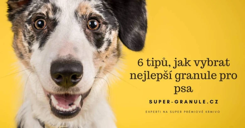 Šťastný pes s tipy na výběr kvalitního psího granulovaného krmení.