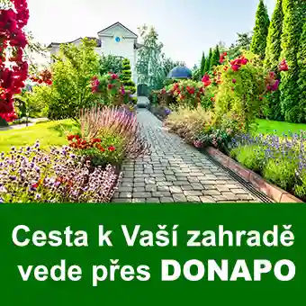 Zahrada s cestičkou mezi kvetoucími rostlinami.
