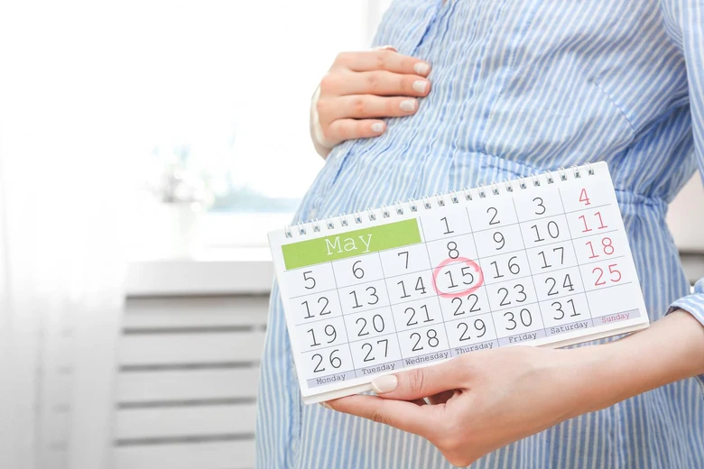 Těhotná žena drží kalendář s označeným datem v květnu.