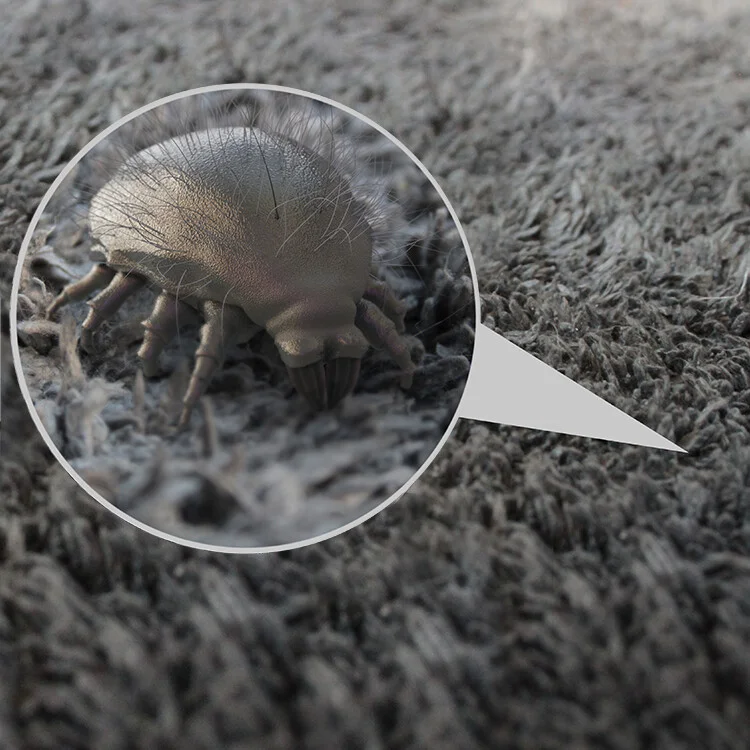 Dust mite on fabric