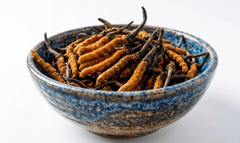Mísa s suchými houbami cordyceps na bílém pozadí.