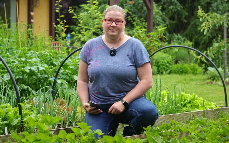 Žena se klene mezi jahodami v zahradě s dřevěným hranicím.