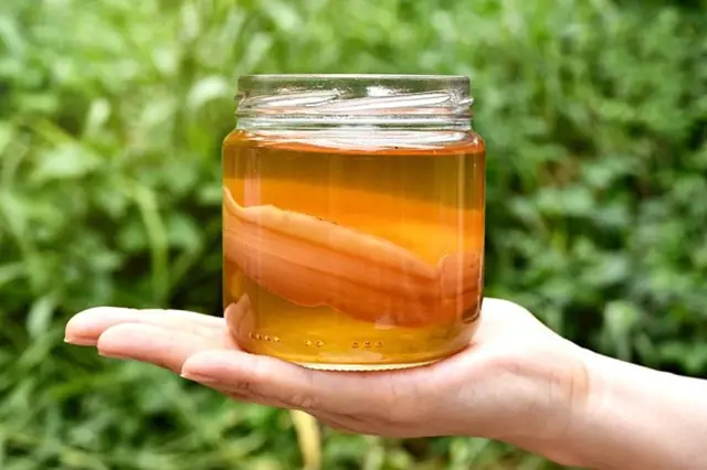 Ruka drží sklenici s kombuchou na pozadí zelené přírody.