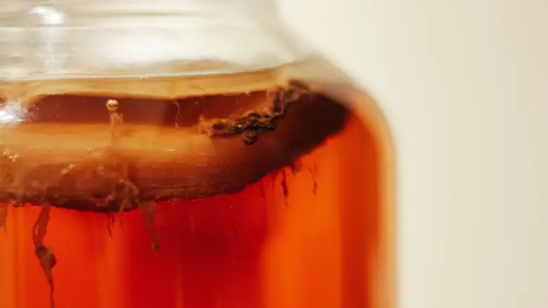Kombucha in jar