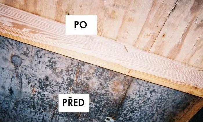 Porovnání dřeva před a po úpravě proti dřevomorce.