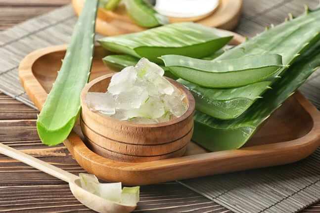 Fresh aloe vera gel and leaves