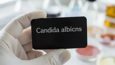 co je candida albicans a jak ji léčit - Co je candida albicans a - ilustrační foto