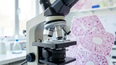 Co je histologie a její význam - ilustrační foto