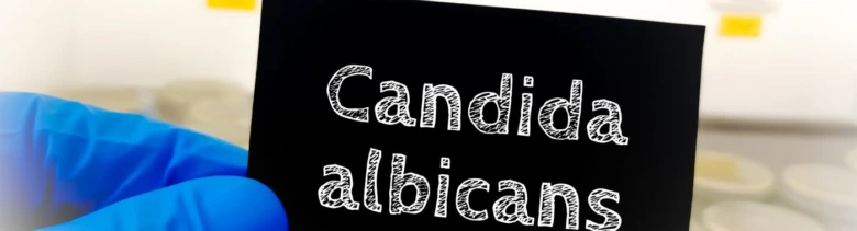Candida albicans label in lab setting