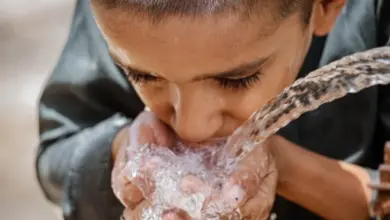 Chlapec pije vodu z hadice do dlaní – důkaz hydratace.