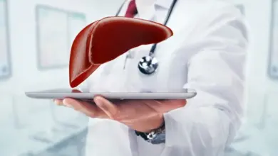 Lékař drží model jater nad tabletem pro interpretaci zvýšených testů.