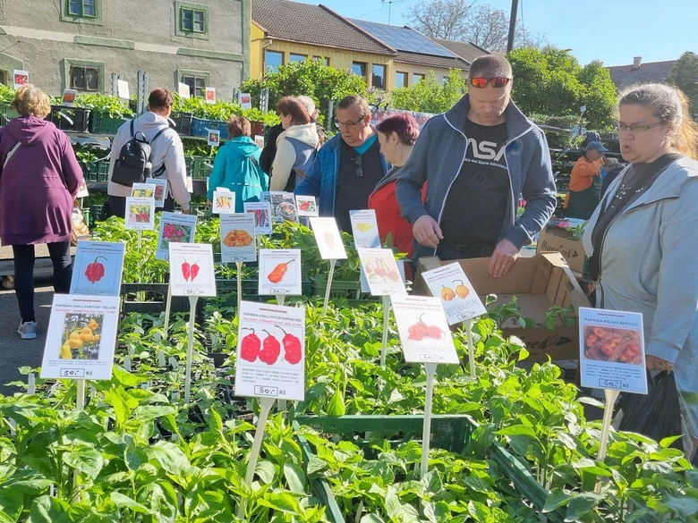 Venkovní trh v Ředhošti s rostlinami a značkami pro prodej.