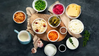 Různé fermentované české pokrmy jako kysané zelí, kefír a jogurt