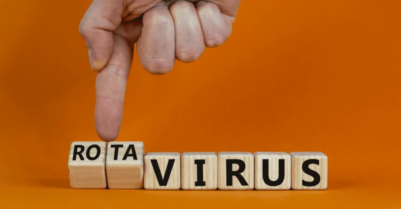 Ruka ukazuje na dřevěné kostky s nápisem Rota virus.