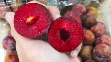 Rozkrojená červená švestka v ruce s plody na pozadí.