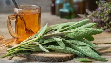 Fresh sage and tea