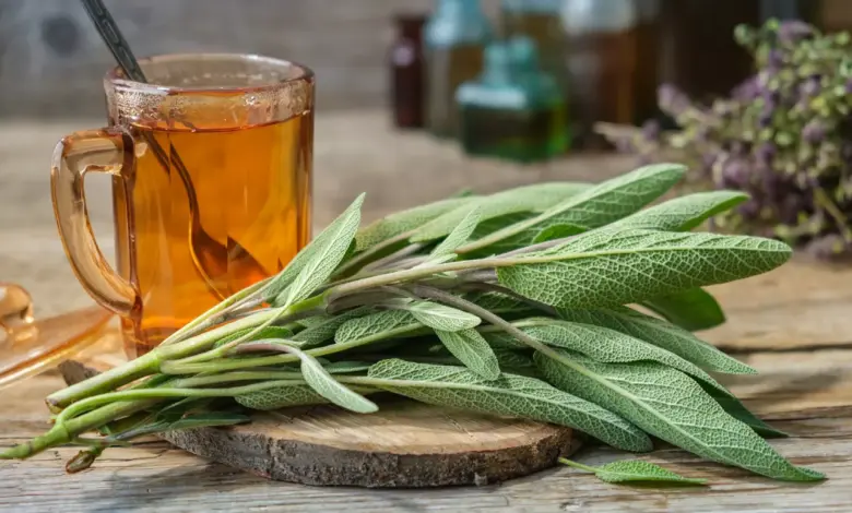 Fresh sage and tea