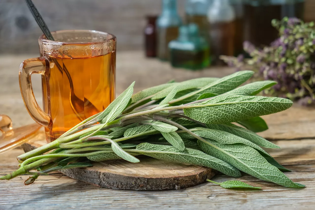 Fresh sage and tea