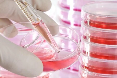 Laboratorní ruka s pipetou do petriho misky.