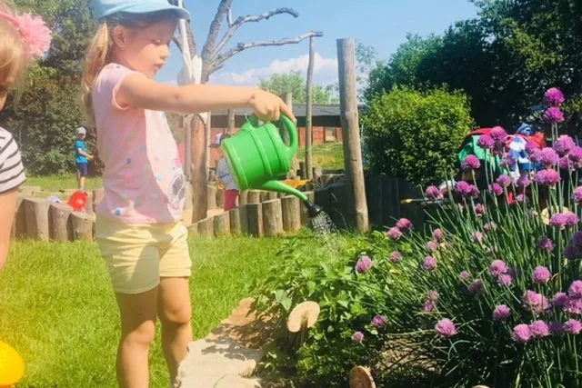 Dívka zalévá fialové léčivé bylinky v zahradě.