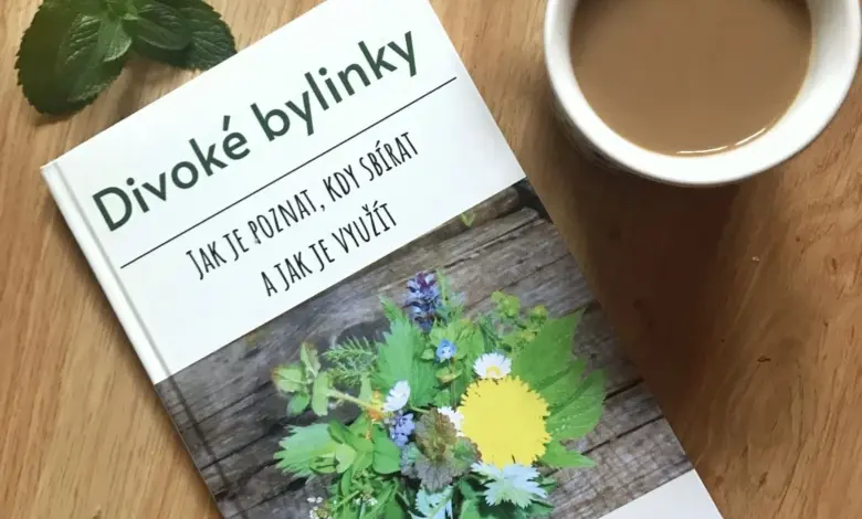 Kniha o divokých bylincech, máta a šálek kávy na dřevě.