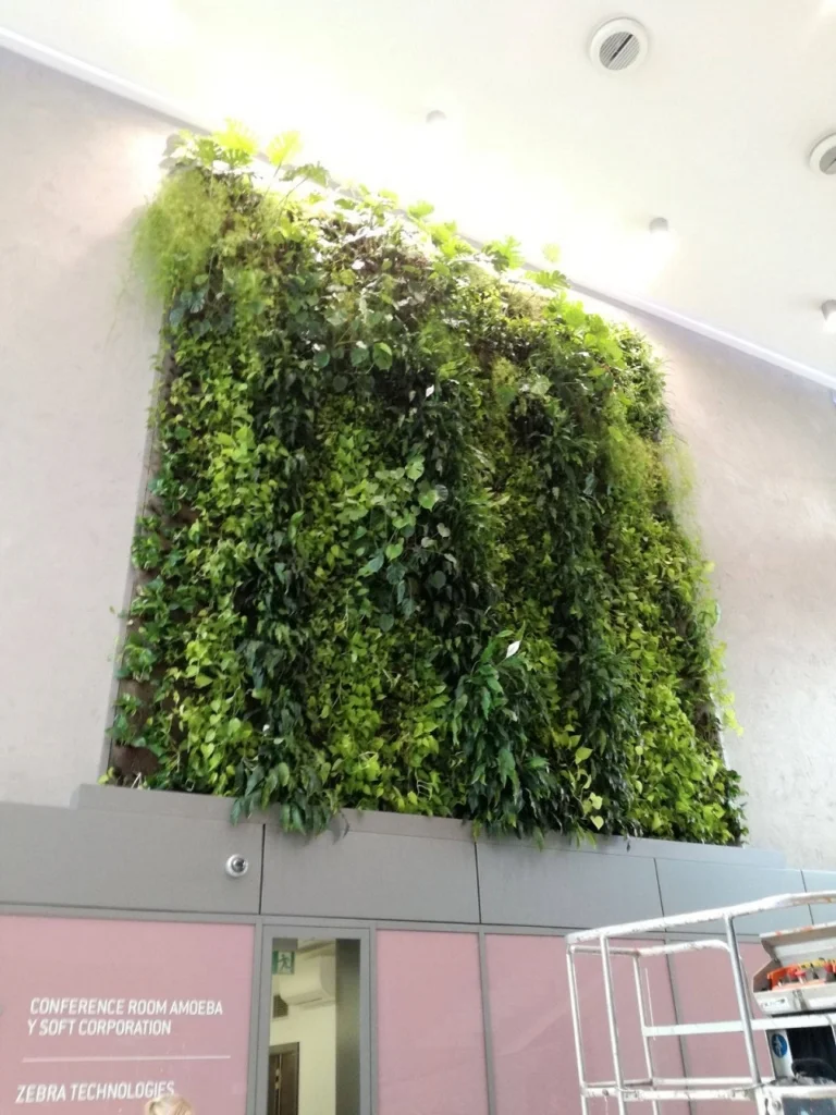 Indoor vertical garden wall