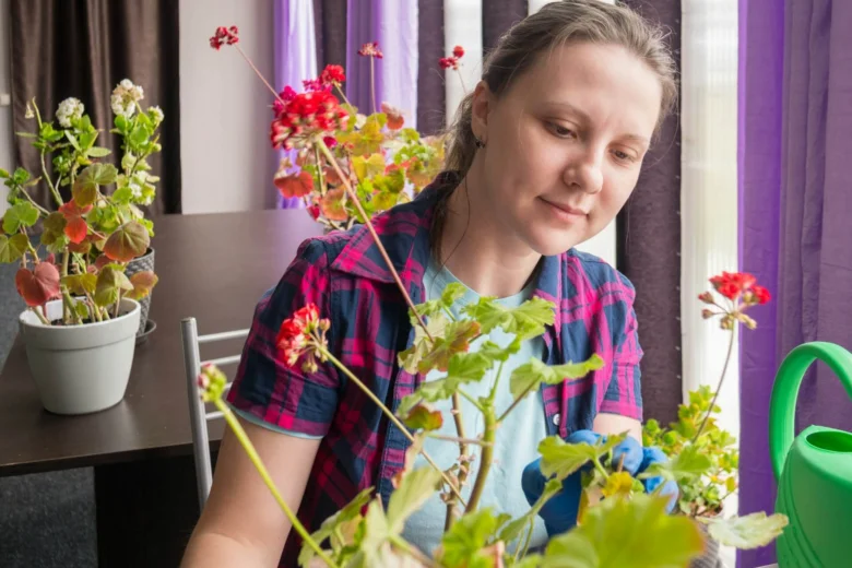Žena péče o léčivé bylinky na okenním parapetu.