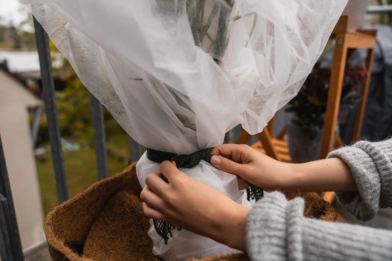 Ruční balení rostliny do sítě pro zimní úlohu na balkóně